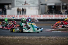 HYPE_RMCF_SALBRIS_2025-5976