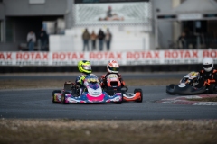 HYPE_RMCF_SALBRIS_2025-5980