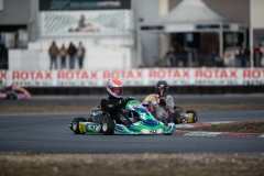 HYPE_RMCF_SALBRIS_2025-5983