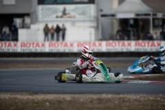 HYPE_RMCF_SALBRIS_2025-5990