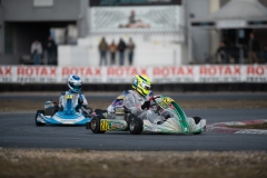 HYPE_RMCF_SALBRIS_2025-5992