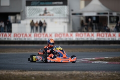 HYPE_RMCF_SALBRIS_2025-5996