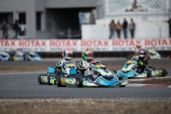 HYPE_RMCF_SALBRIS_2025-6054