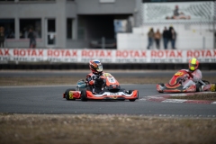 HYPE_RMCF_SALBRIS_2025-6065