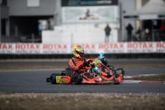 HYPE_RMCF_SALBRIS_2025-6112