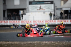 HYPE_RMCF_SALBRIS_2025-6125