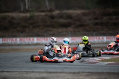 HYPE_RMCF_SALBRIS_2025-7978