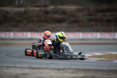 HYPE_RMCF_SALBRIS_2025-7994