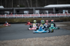 HYPE_RMCF_SALBRIS_2025-8236