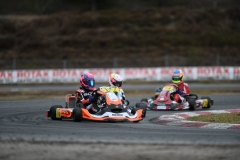 HYPE_RMCF_SALBRIS_2025-8301