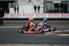 HYPE_RMCF_SALBRIS_2025-8322