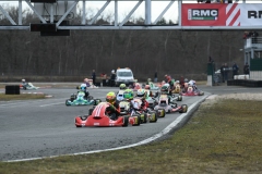 HYPE_RMCF_SALBRIS_2025-8620