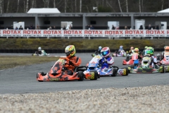 HYPE_RMCF_SALBRIS_2025-8690