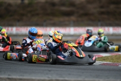 HYPE_RMCF_SALBRIS_2025-8742