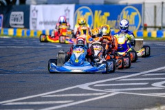 LGP_KARTMAG25_02082025-LGP09274