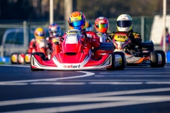 LGP_OSCARPETIT26_01032026-LGP01176