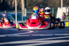 LGP_OSCARPETIT26_01032026-LGP01201