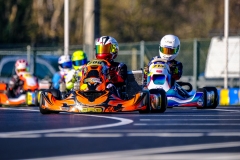 LGP_OSCARPETIT26_01032026-LGP01511