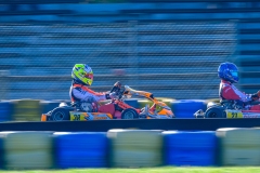 LGP_OSCARPETIT26_01032026-LGP02052