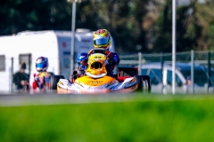 LGP_OSCARPETIT26_01032026-LGP02222