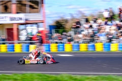 LGP_OSCARPETIT26_01032026-LGP02247