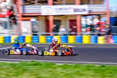 LGP_OSCARPETIT26_01032026-LGP02275