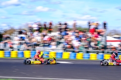 LGP_OSCARPETIT26_01032026-LGP02336