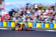 LGP_OSCARPETIT26_01032026-LGP02435