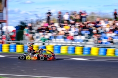 LGP_OSCARPETIT26_01032026-LGP02517