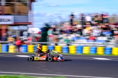 LGP_OSCARPETIT26_01032026-LGP02526