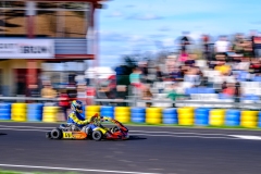 LGP_OSCARPETIT26_01032026-LGP02533