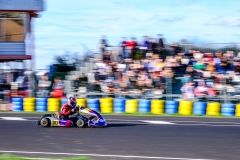 LGP_OSCARPETIT26_01032026-LGP02739