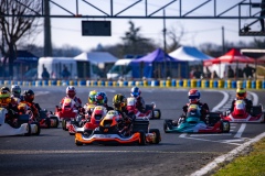21_oscarpetit_01_020325_IT5A1399