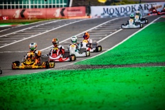 ©21_FIA_WC_Portimao_13102024-IT5A5860