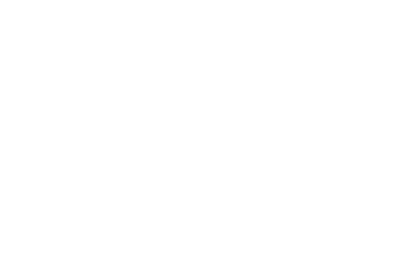 FOCUS ON TRACK